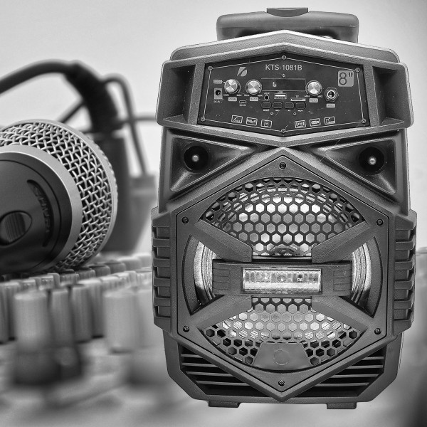 KTS-1081B активная напольная акустика
